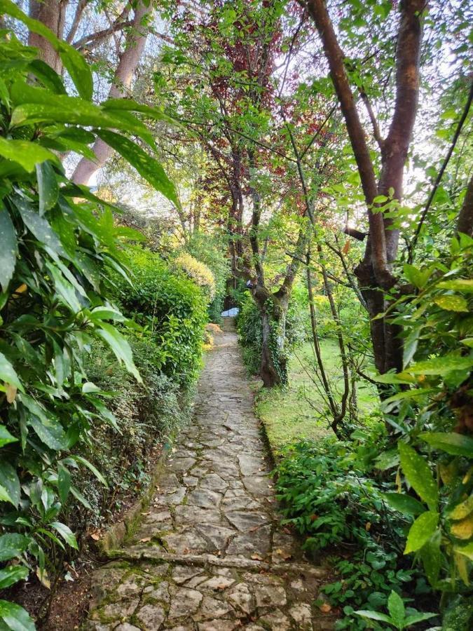 Le Jardin Sarlat Bed & Breakfast Exterior photo