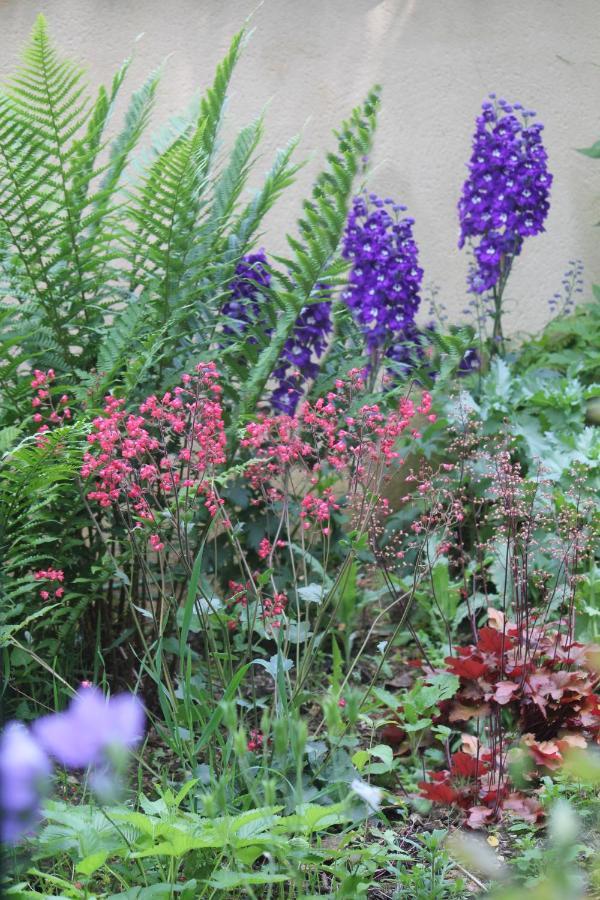 Le Jardin Sarlat Bed & Breakfast Exterior photo